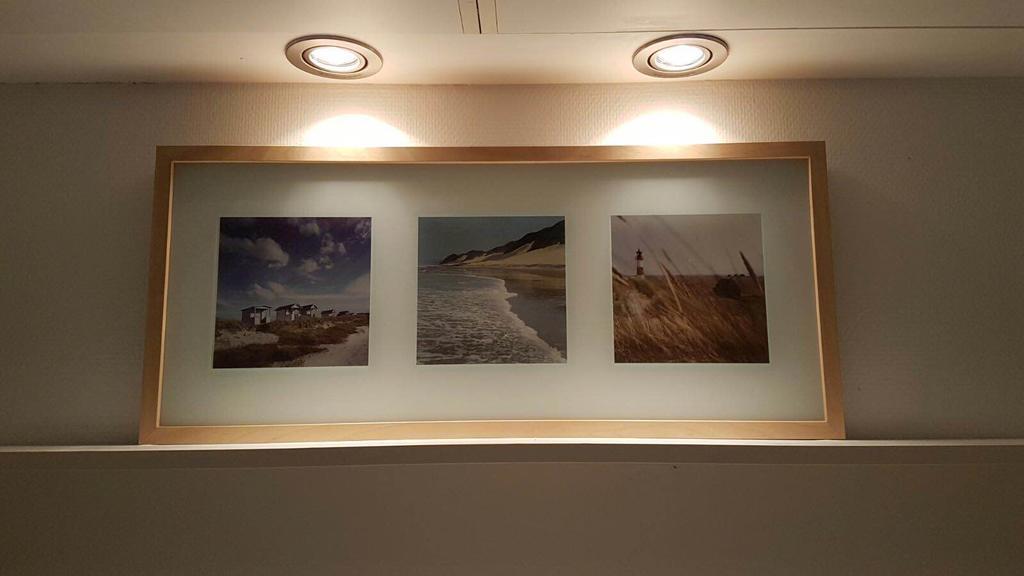 'T Noorderlicht Daire Hollum  Dış mekan fotoğraf